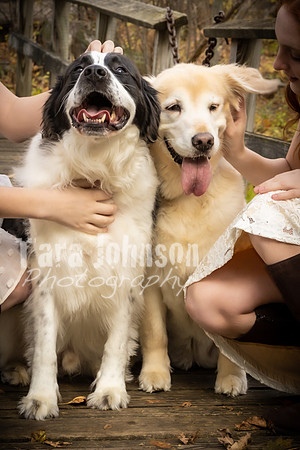 Schultz Twins & Dogs - TJP (12 of 30)