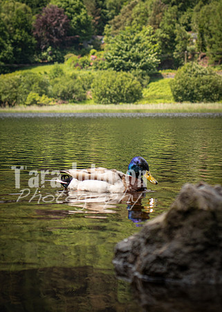 Glendalough Field Trip (62 of 117)