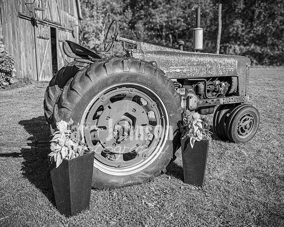 Michael & Ashlee McGrath - Complete - BW - TJP (14 of 428)