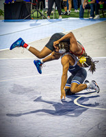 2026 OLSM Wrestling - State Finals