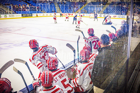 2026 OLSM Hockey - State Finals - USA Arena - TJP (39 of 50)