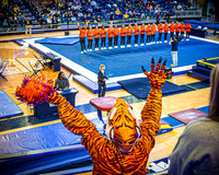 2026 Clemson Gymnastics vs. U of M - Tara Walsh