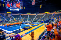 2026 Clemson Gymnastics vs. U of M - Tara Walsh - TJP (17 of 72)