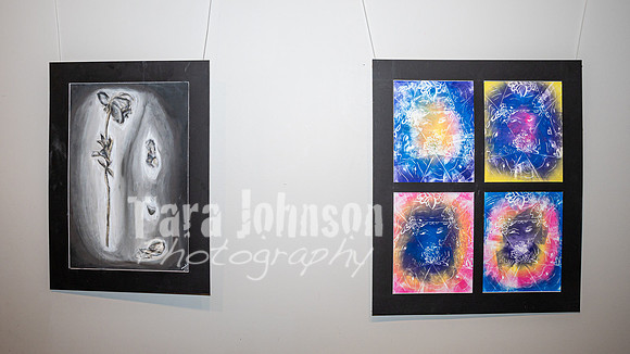 2026 IAO Art Show - TJP (2 of 11)