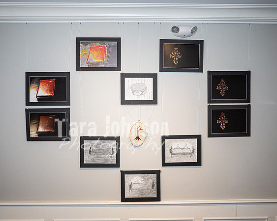2026 IAO Art Show - TJP (7 of 11)