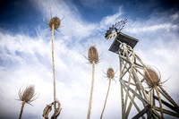 Windmill - TJP (3 of 3)