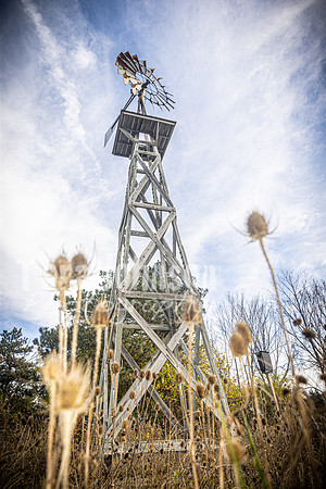 Windmill - TJP (2 of 3)