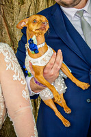 Mitch & Kelly - Bride & Groom - TJP (11 of 212)