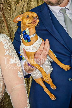 Mitch & Kelly - Bride & Groom - TJP (11 of 212)