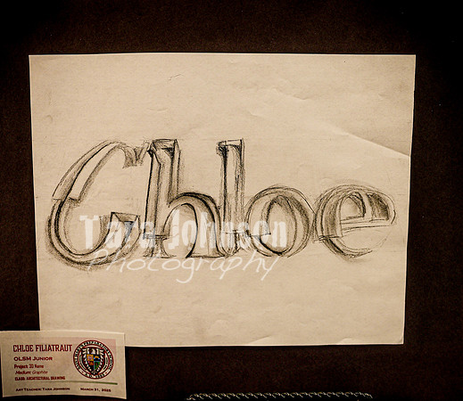 2025 OLSM Art Show - Art Selections - TJP (45 of 237)