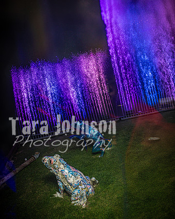 2025 U of D Prom - Complete Collection - TJP (275 of 374)