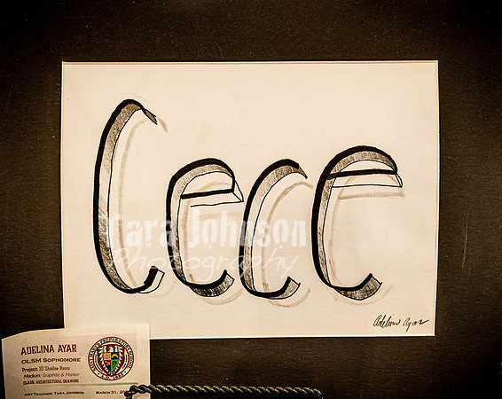 2025 OLSM Art Show - Art Selections - TJP (43 of 237)