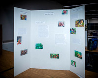 2023 IAW Personal Project - TJP (7 of 159)