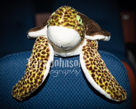 2026 LHS TH - Big Fish - Super Soft Opening - TJP (8 of 33)