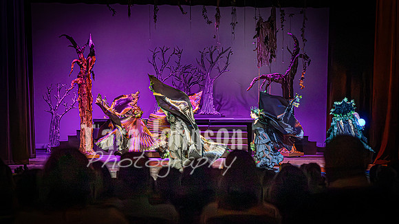 2026 LHS TH - Big Fish - Saturday - Wide Angle - TJP (26 of 284)