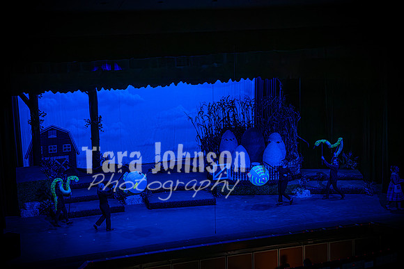 2024 MTC - Honk - Senior Show (Thursday) - TJP (54 of 360)