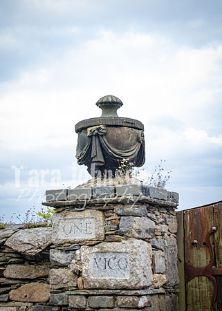 Killiney Hill Hike - Full Collection (10 of 77)
