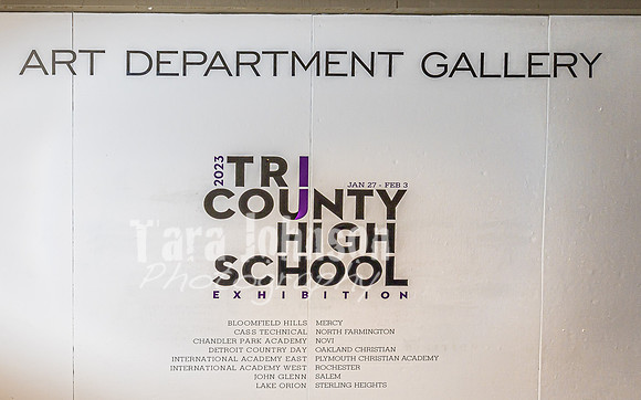 2023 Tri-County Art Show - Allie Elliot - TJP (1 of 36)