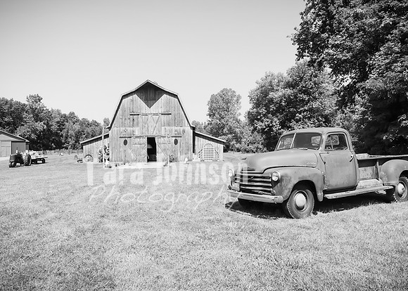 Tim & Corrissa - Complete - BW - TJP (2 of 585)