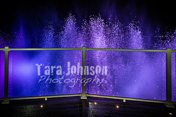 2025 U of D Prom - Complete Collection - TJP (278 of 374)