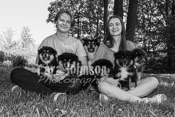 Bryde Family & Finish Lapphund Pups - BW - TJP (38 of 60)