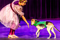 2026 Mutts in Motion - Highlights - TJP (6 of 90)