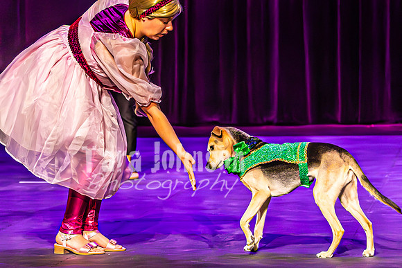 2026 Mutts in Motion - Highlights - TJP (6 of 90)
