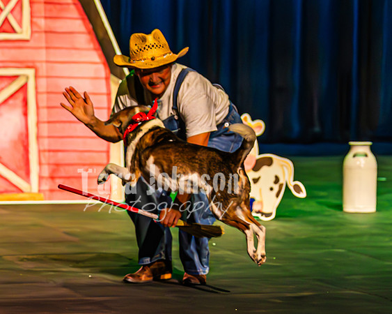 2026 Mutts in Motion - Highlights - TJP (14 of 90)
