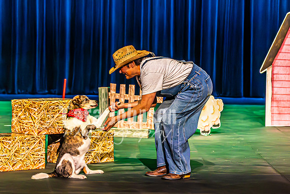 2026 Mutts in Motion - Highlights - TJP (13 of 90)