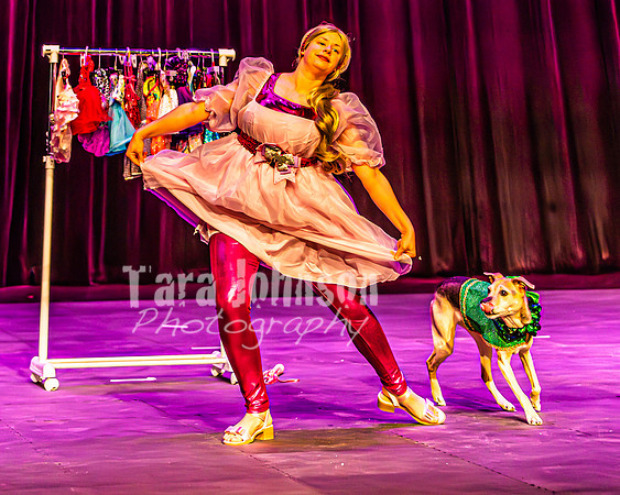 2026 Mutts in Motion - Highlights - TJP (11 of 90)