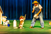 2026 Mutts in Motion - Highlights - TJP (15 of 90)