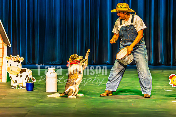 2026 Mutts in Motion - Highlights - TJP (15 of 90)