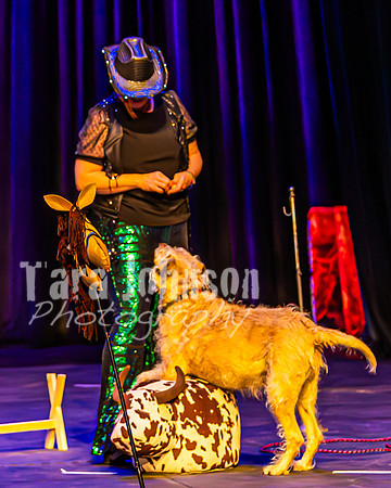 2026 Mutts in Motion - Highlights - TJP (17 of 90)