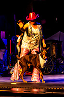 2026 Mutts in Motion - Highlights - TJP (19 of 90)