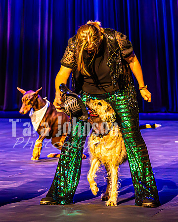 2026 Mutts in Motion - Highlights - TJP (18 of 90)