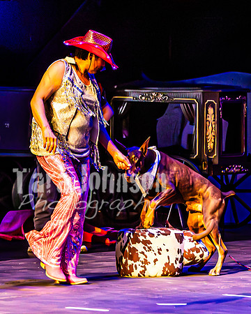 2026 Mutts in Motion - Highlights - TJP (21 of 90)