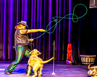 2026 Mutts in Motion - Highlights - TJP (20 of 90)
