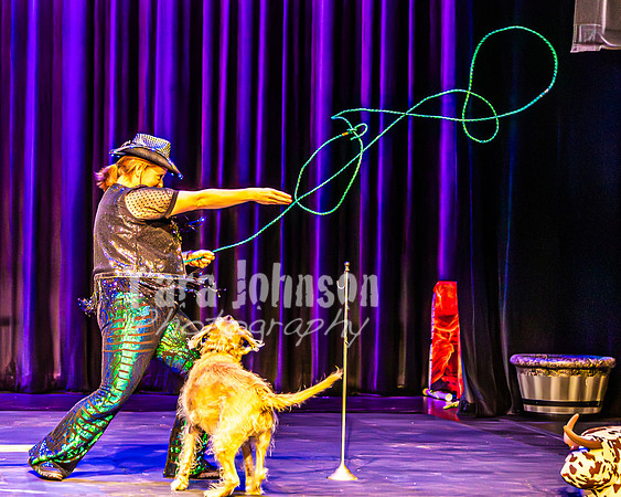 2026 Mutts in Motion - Highlights - TJP (20 of 90)
