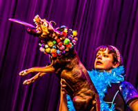 26 Mutts in Motion - Highlights