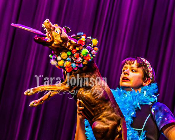 2026 Mutts in Motion - Highlights - TJP (26 of 90)