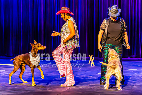 2026 Mutts in Motion - Highlights - TJP (22 of 90)