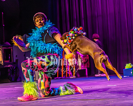 2026 Mutts in Motion - Highlights - TJP (23 of 90)