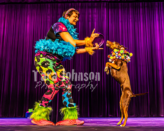 2026 Mutts in Motion - Highlights - TJP (25 of 90)
