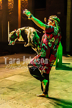 2026 Mutts in Motion - Highlights - TJP (33 of 90)