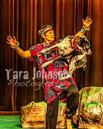 2026 Mutts in Motion - Highlights - TJP (34 of 90)