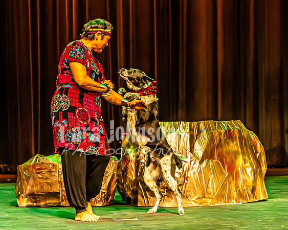 2026 Mutts in Motion - Highlights - TJP (40 of 90)