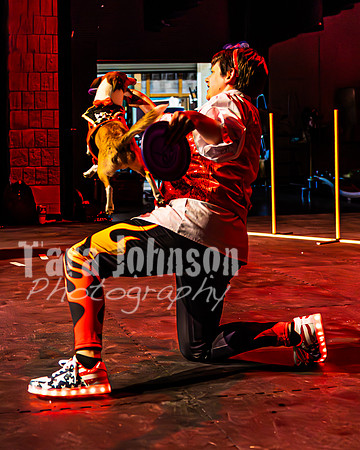 2026 Mutts in Motion - Highlights - TJP (45 of 90)