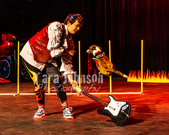 2026 Mutts in Motion - Highlights - TJP (47 of 90)