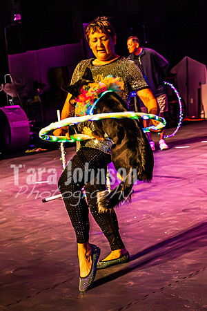 2026 Mutts in Motion - Highlights - TJP (49 of 90)