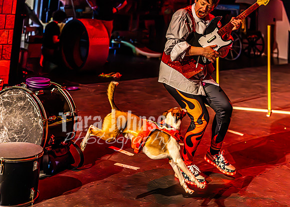 2026 Mutts in Motion - Highlights - TJP (46 of 90)